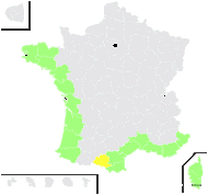 Centaurium maritimum (L.) Fritsch - carte de répartition