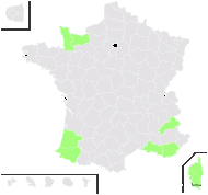 Centaurium tenuiflorum subsp. acutiflorum (Schott) Zeltner - carte de répartition