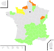 Endotriche campestris Steud. - carte de répartition