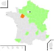 Eyrythalia germanica (L.) Schrank - carte de répartition