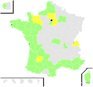 Erodium australe Salzm. ex Nyman - carte de répartition