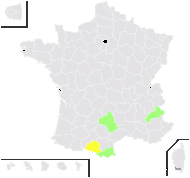 Geranium novum Winterl - carte de répartition