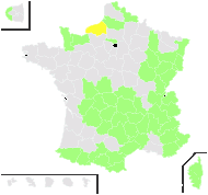 Geranium sylvaticum L. - carte de répartition