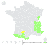 Bupleurum ranunculoides L. subsp. ranunculoides - carte de répartition