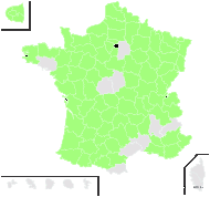 Aesculus hippocastanum L. - carte de répartition