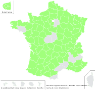 Aesculus hippocastanum L. - carte de répartition
