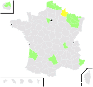 Aesculus carnea Hayne - carte de répartition