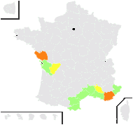 Cynanchum acutum L. - carte de répartition