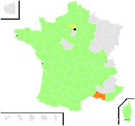 Androsaemum officinale All. - carte de répartition