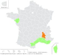 Periploca graeca L. - carte de répartition