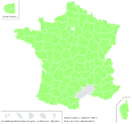 Juglans regia L. - carte de répartition