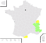 Dracocephalum austriacum L. - carte de répartition