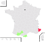 Hyssopus officinalis proles aristatus (Godr.) Rouy - carte de répartition