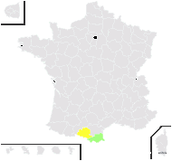 Achillea chamaemelifolia var. falcata Rouy - carte de répartition