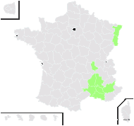 Achillea biebersteinii sensu auct. - carte de répartition