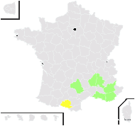 Lavandula ×feraudii Hy - carte de répartition