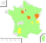 Prasium marrubium E.H.L.Krause - carte de répartition