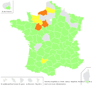 Mentha longifolia (L.) Huds. subsp. longifolia - carte de répartition