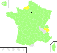 Mentha rosanii Ten. - carte de répartition