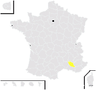 Micromeria juliana (L.) Benth. ex Rchb. - carte de répartition