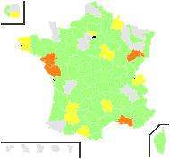 Nepeta minor Mill. - carte de répartition