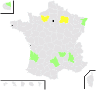 Ocimum minus Garsault - carte de répartition