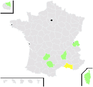 Origanum majorana L. - carte de répartition