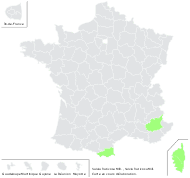 Salvia fruticosa Mill. - carte de répartition