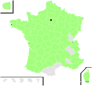 Achillea millefolium L. subsp. millefolium - carte de répartition