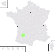 Cycas revoluta Thunb. - carte de répartition