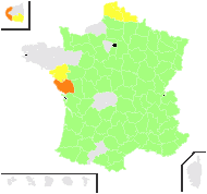 Botrys chamaedryoides Fourr. - carte de répartition