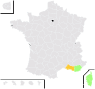 Scorodonia massiliensis (L.) Link - carte de répartition