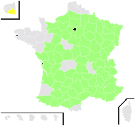 Polium montanum (L.) Mill. - carte de répartition