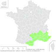 Achillea odorata L. - carte de répartition