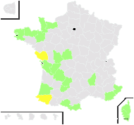 Teucrium scordium subsp. scordioides (Schreb.) Arcang. - carte de répartition