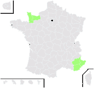 Smyrnium perfoliatum L. - carte de répartition