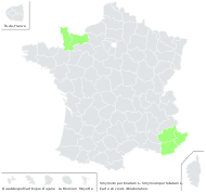 Smyrnium perfoliatum L. - carte de répartition