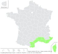 Gagea lacaitae A.Terracc. - carte de répartition