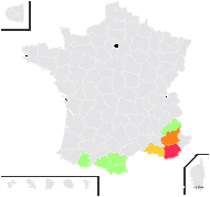 Thymus nervosus J.Gay ex Willk. - carte de répartition