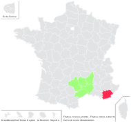 Thymus nitens Lamotte - carte de répartition