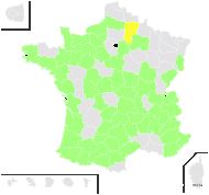 Thymus serpyllum proles polytrichus (A.Kern. ex Borbás) Rouy - carte de répartition