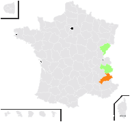Thymus trachselianus var. vallicola Heinr.Braun - carte de répartition