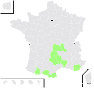 Achillea ptarmica subsp. pyrenaica (Sibth. ex Godr.) Heimerl - carte de répartition