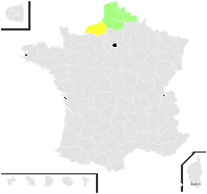 Taraxacum hygrophilum Soest - carte de répartition