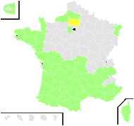 Laurus vulgaris Duhamel - carte de répartition