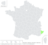 Diospyros virginiana L. - carte de répartition