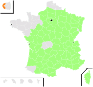 Cathartolinum tenuifolium (L.) Rchb. - carte de répartition