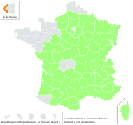 Linum tenuifolium L. - carte de répartition