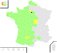 Mecoschistum urens (L.) Dulac - carte de répartition