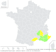 Arceuthobium oxycedri (DC.) M.Bieb. - carte de répartition